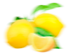 shape